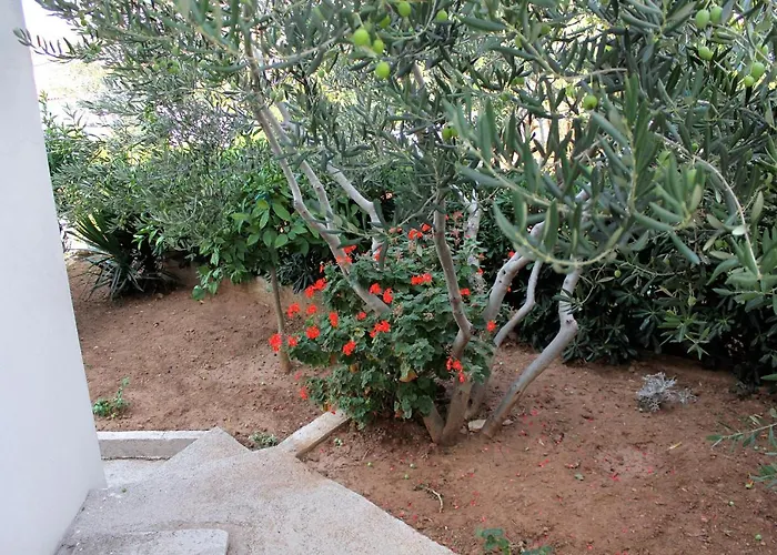 With A Parking Space Hvar - 5701 Apartament Hvar Town